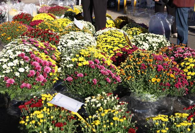 Šibenik: Uo?i nadolaze?ih blagdana pove?ana ponuda cvije?a i cvjetnih aranžmana