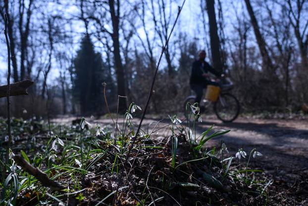24sata Varaždin: Naselje uz rijeku Dravu gdje su vikendice