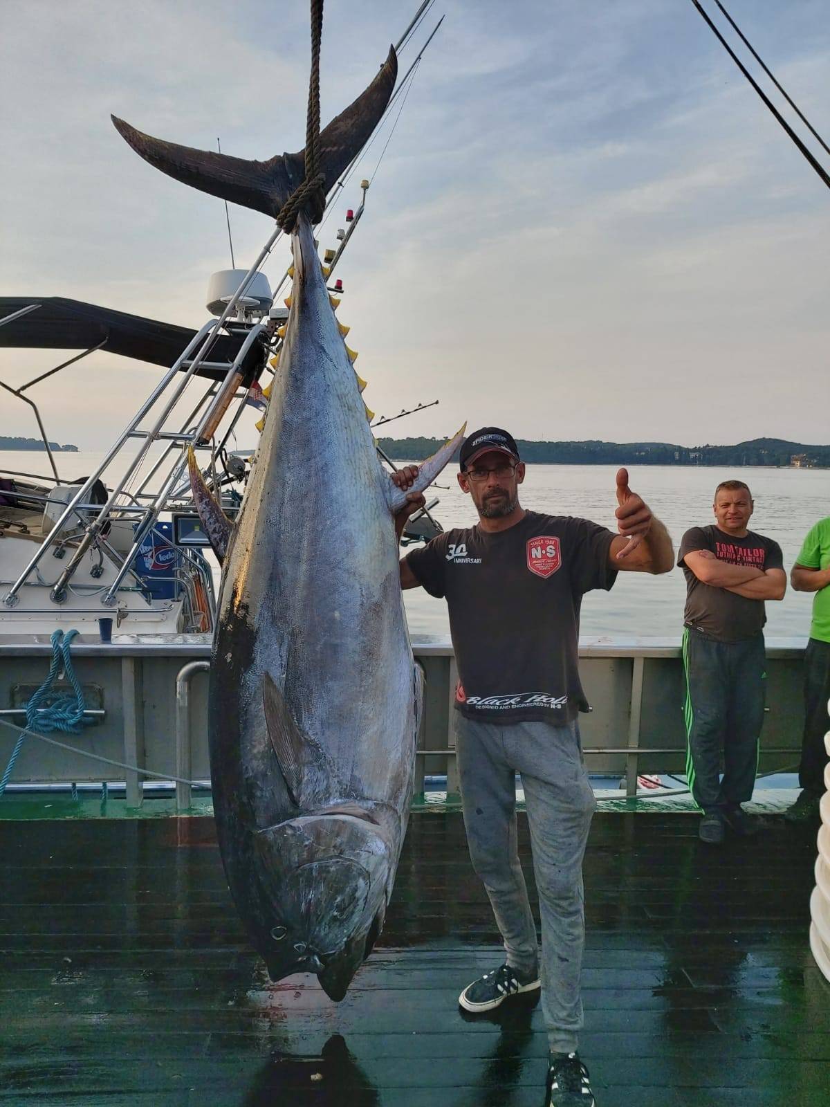 Kod Rovinja su ulovili morsku grdosiju, tunu od čak 250 kg!