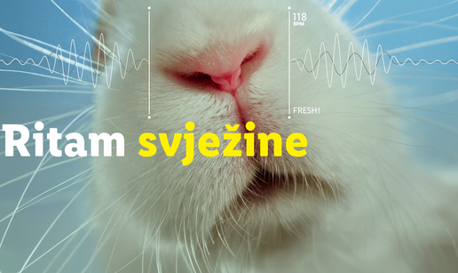 "Ritam svje&zcaron;ine": Lidl testira svje&zcaron;inu kroz kampanju na dru&scaron;tvenim mre&zcaron;ama