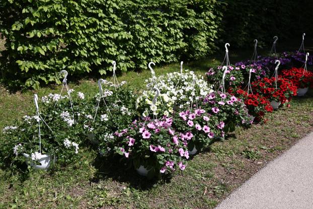 U Dugom selu održan je sajam cvijeća