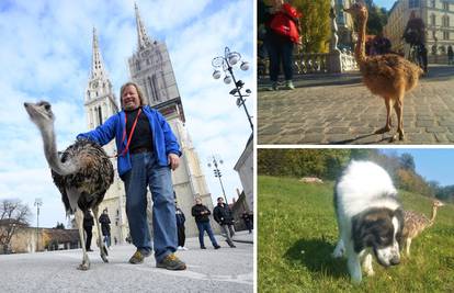 Franci je zvijezda u Sloveniji, a obožava banane, jaja i kekse