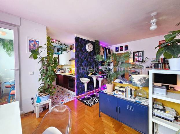 FOTO Prodaje se 'egzotični' stan u Zagrebu. Flamingosi, palme i disco u 36m2! Cijena mu je hit...