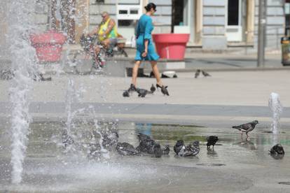 Osijek se danas grije na 31 stupanj Celzija