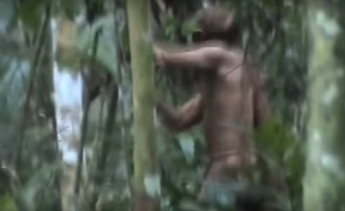 Najusamljeniji čovjek na svijetu 22 godine živi sam u prašumi
