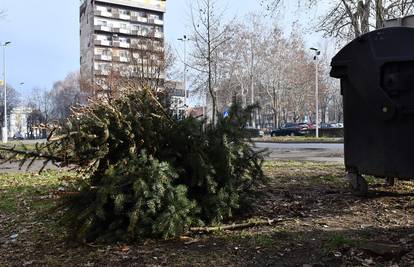 U Zagrebu od utorka počinju skupljati bačena božićna drvca