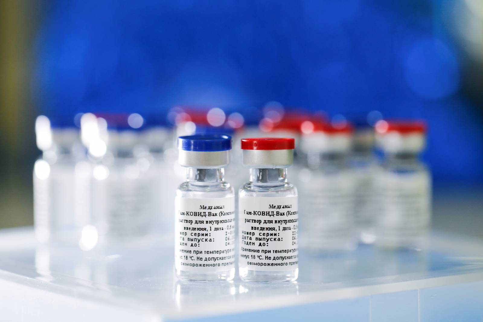 A handout photo shows samples of a vaccine against the coronavirus disease developed by the Gamaleya Research Institute of Epidemiology and Microbiology, in Moscow