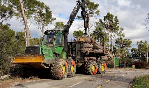 FOTO Po&ccaron;ela sanacija Marjana: Milijun eura za uklanjanje &ccaron;etiri tisu&cacute;e uni&scaron;tenih stabala
