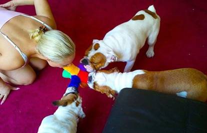 Tko je jači, njegova igračka: Coco vježba sa svojim psima