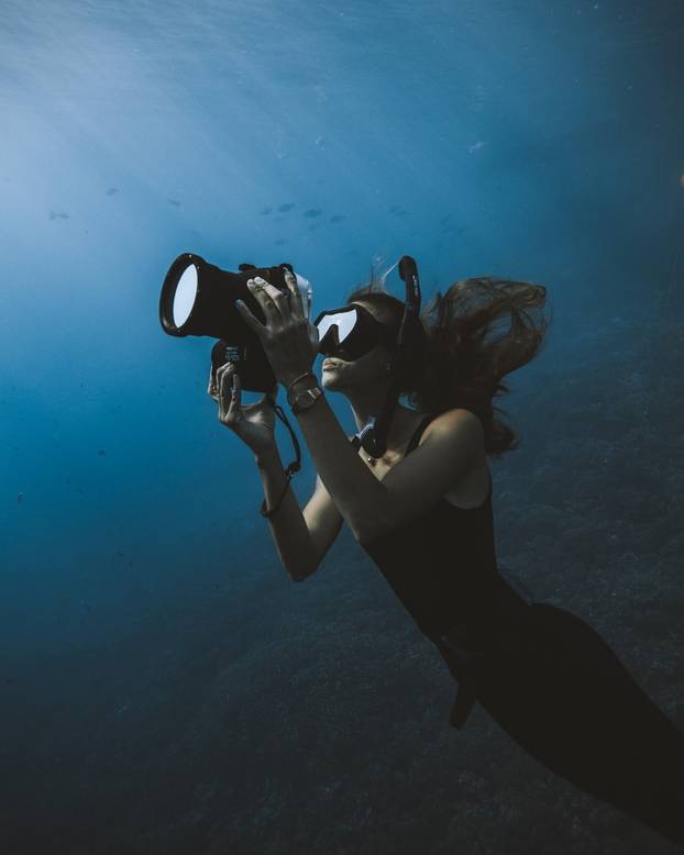 Brave diver swims inches from 40-tonne humpback whale called Scratch