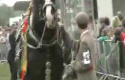 Konj podivljao na sajmu i ozljedio šestoro gledatelja