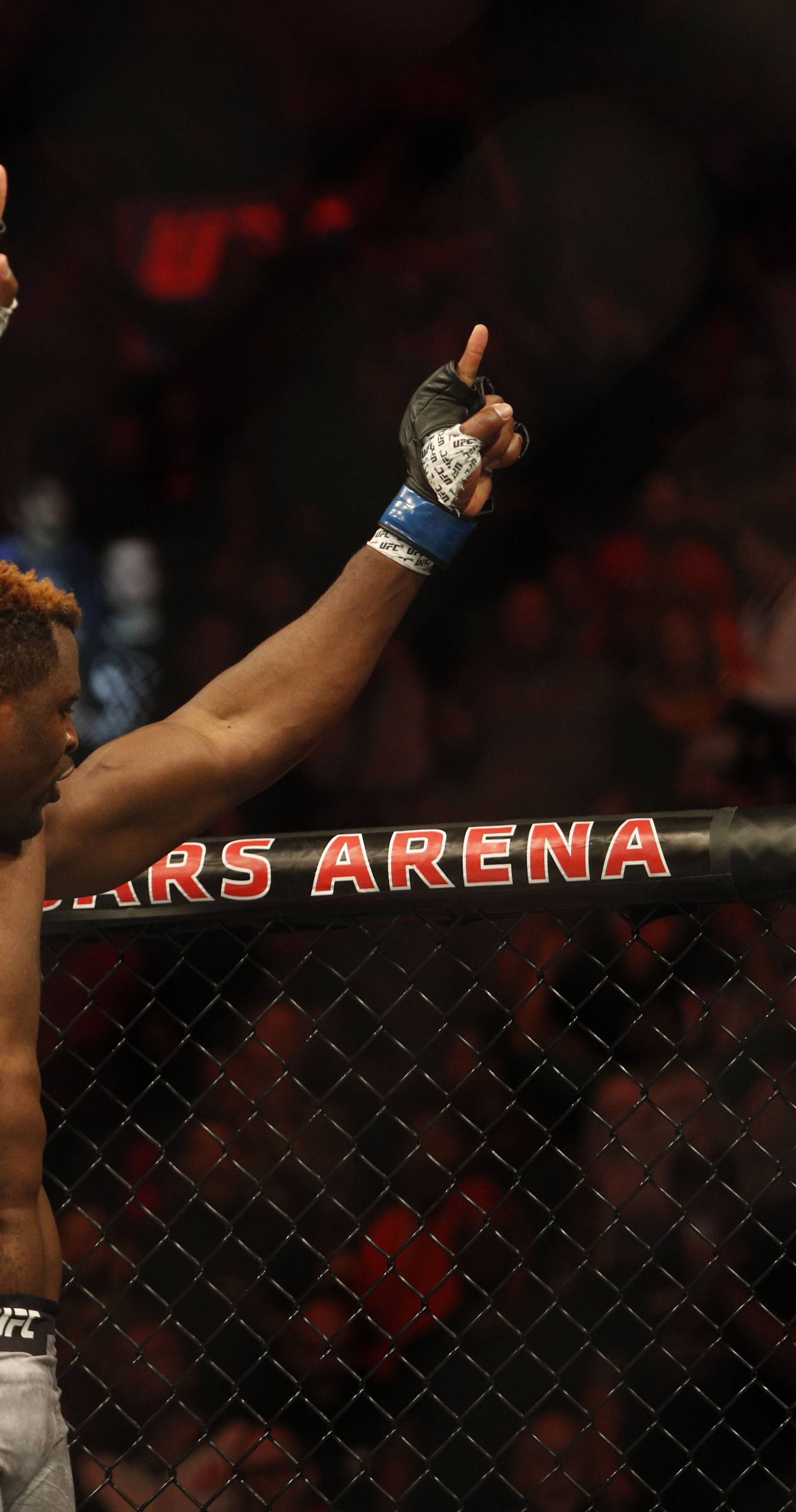 MMA: UFC 218-Overeem vs Ngannou