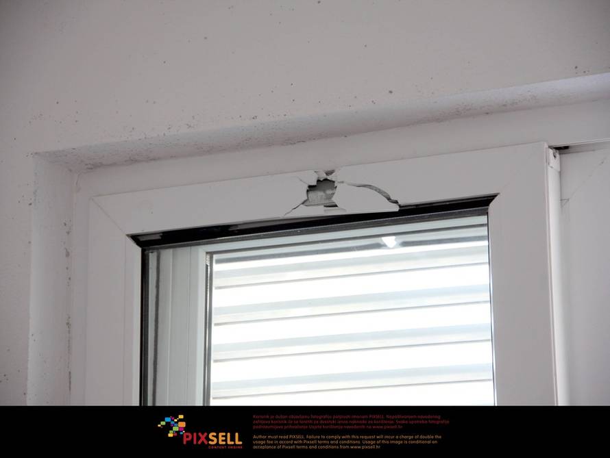 Ivana Ivanović/Pixsell