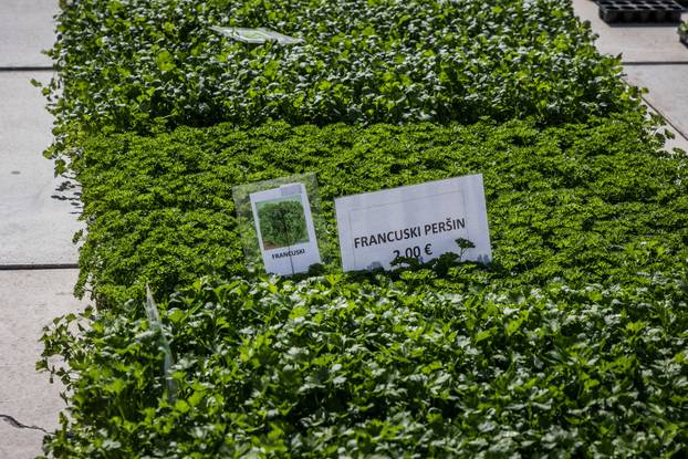 Otvorenje 49. sajma cvijeća u Splitu