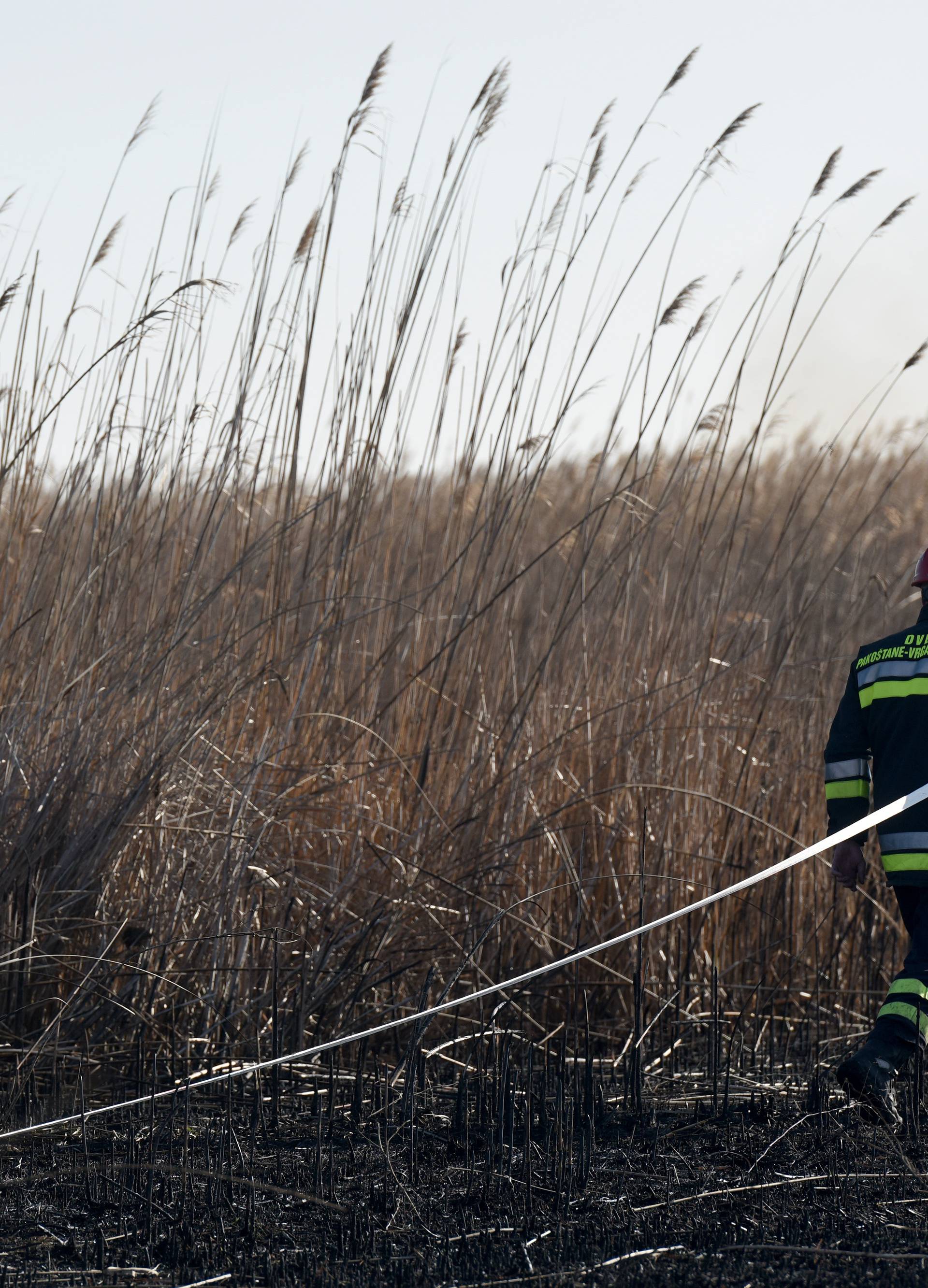 Požar na Vranskom jezeru: Izgorjelo samo 'srce' rezervata