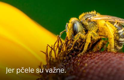Spasioci pčela kreću u akciju i trebaju vašu pomoć!