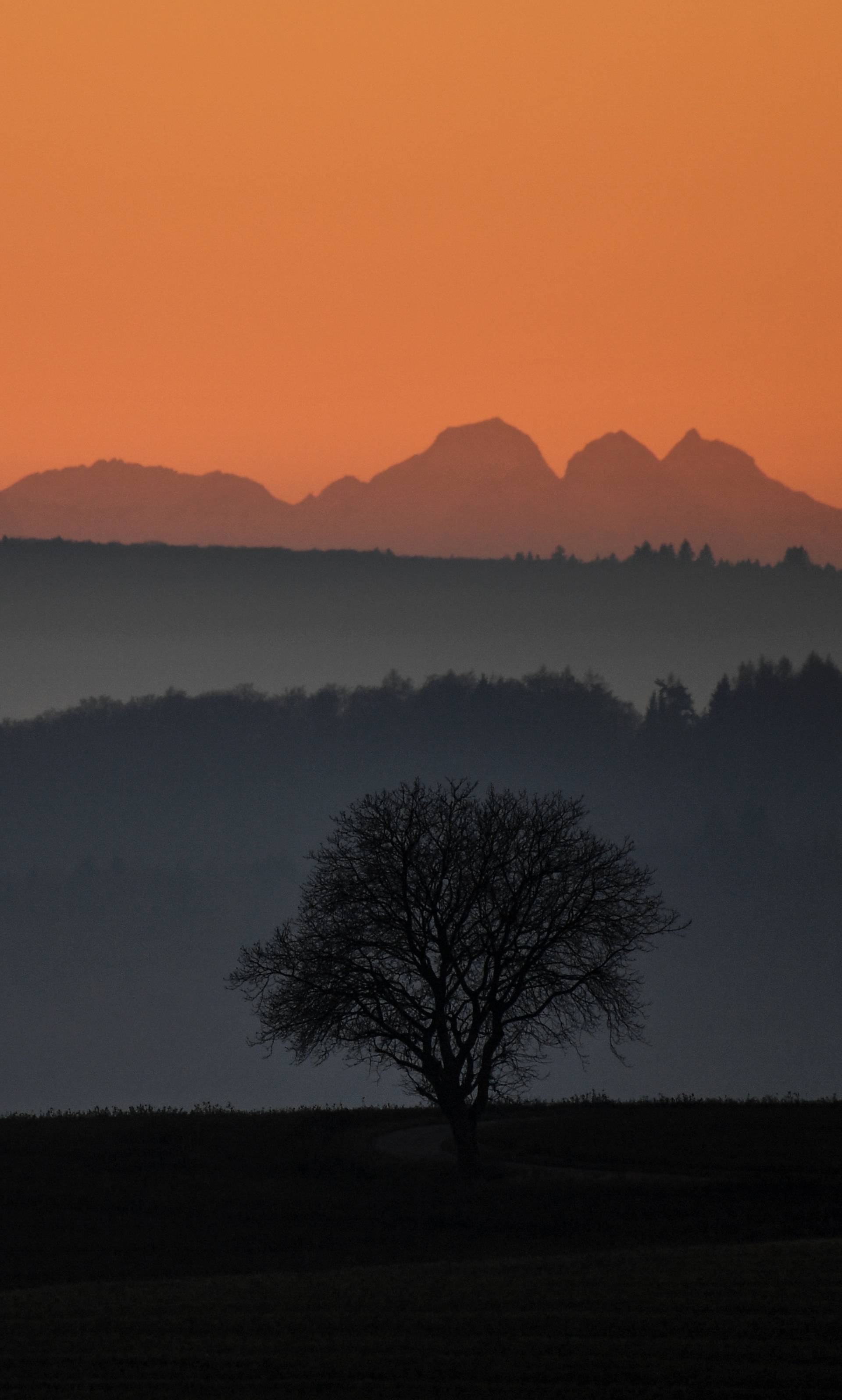 Foggy sunset in Germany