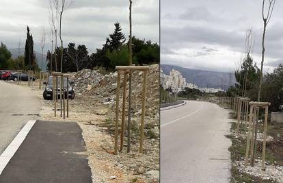 Mlada stabla u Splitu će rušiti zbog gradnje nove prometnice?