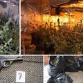 Policija im pokvarila planove: Iz Srbije došli u Zagreb uzgajati marihuanu, ostali bez svega