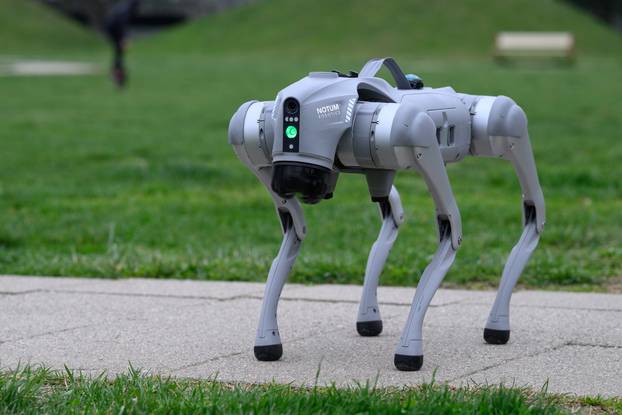 Inovacija iz Velike Gorice: Robotski pas može spašavati, snimati i ići na opasna mjesta, ali i biti čovjekov najbolji prijatelj