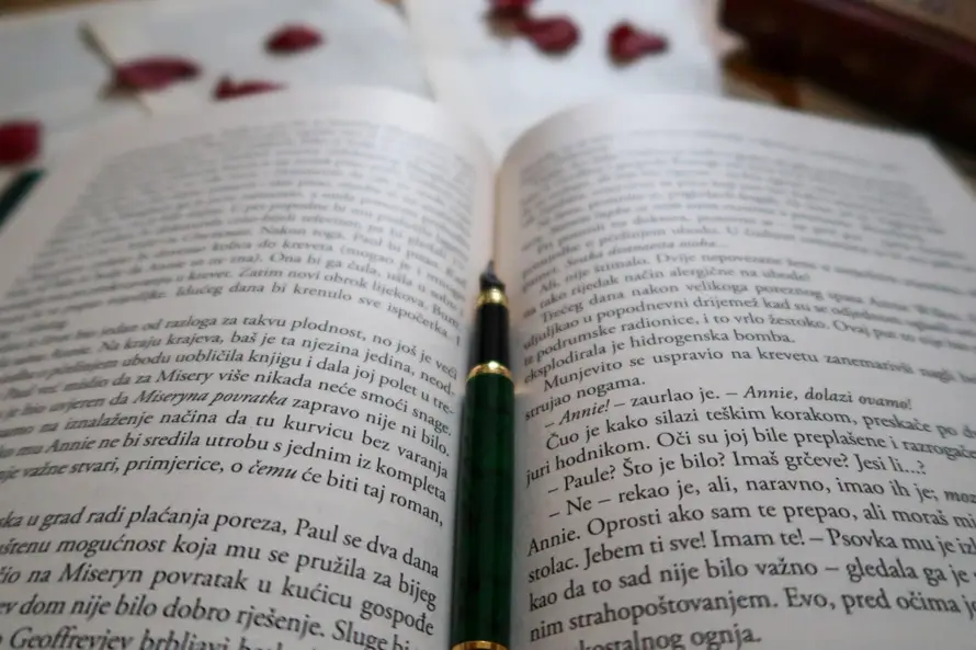 Roman Stephena Kinga 'Misery' ledi krv u žilama: Radnja budi u čitatelju napeto iščekivanje