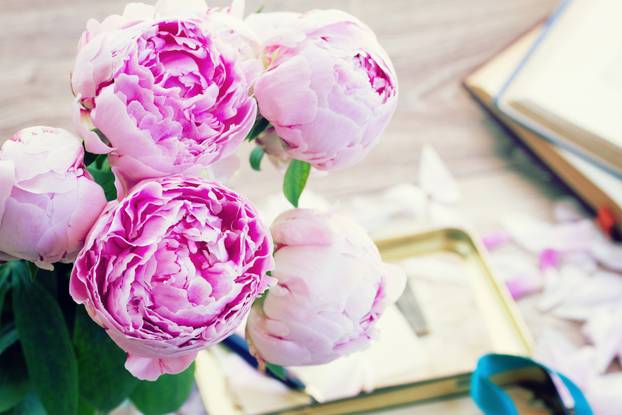 pink peonies