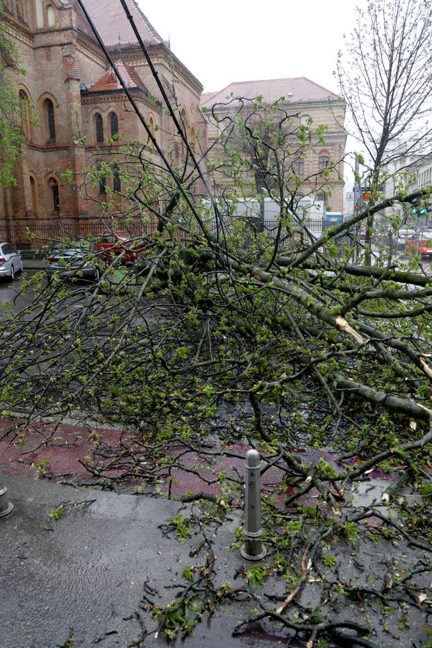 Zagreb:  Nevrijeme i jak vjetar srušili su nekoliko stabala u centru grada