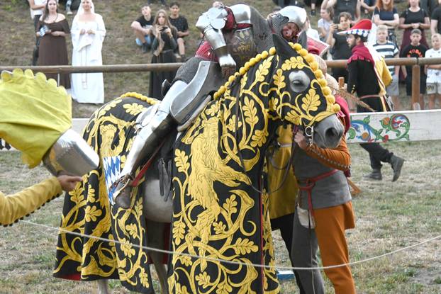Viteške borbe na konjima privukle posjetitelje Renesansnog festivala u Koprivnici