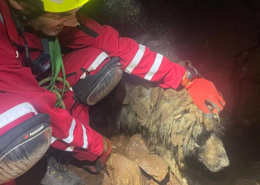 Splitski HGSS-ovci spasili psa iz jame duboke 40 metara, bio je zato?en duže vrijeme