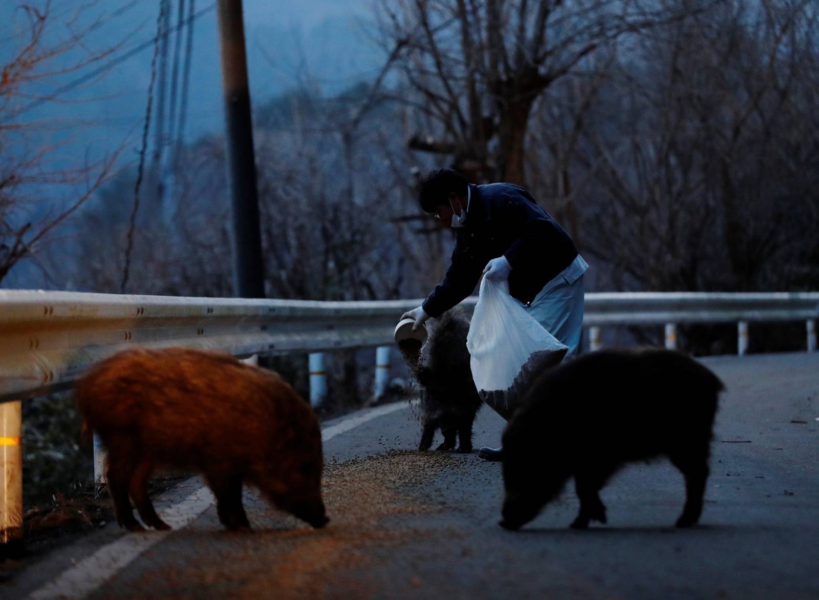 The Wider Image: The man who saves forgotten cats in Fukushima's nuclear zone