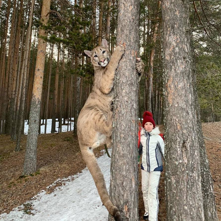 Živi s pumom: 'Zbog korone i ona pere šape koliko i mi ruke'