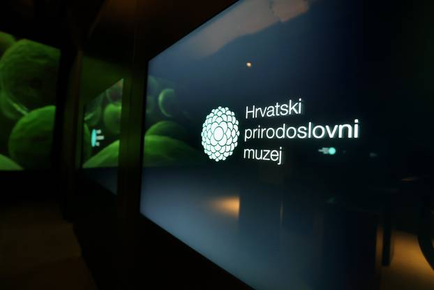 Zagreb: Završen je projekt Čuvar baštine Hrvatskog prirodoslovnog muzeja