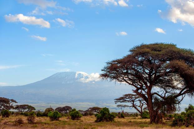 Snow on top of Mount Kilimanjaro in Amboseli