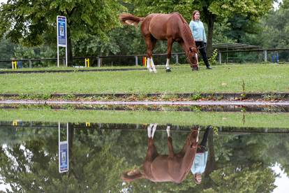 Zagreb: Odvela je konja na šetnju uz jezero Jarun