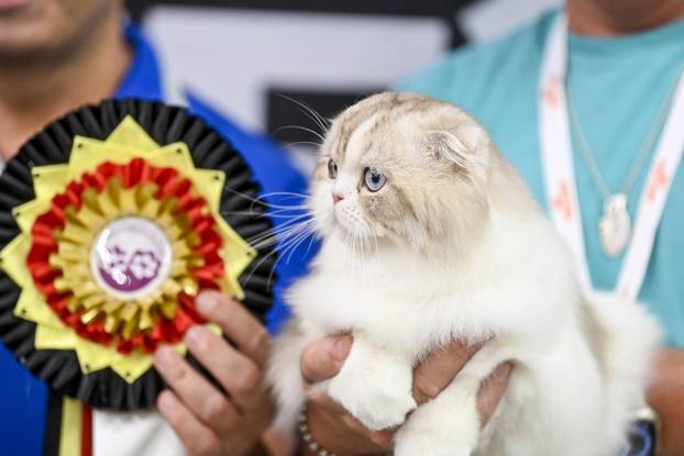 Zagreb: Međunarodna izložba mačaka WCF Cat Olimpia 2025