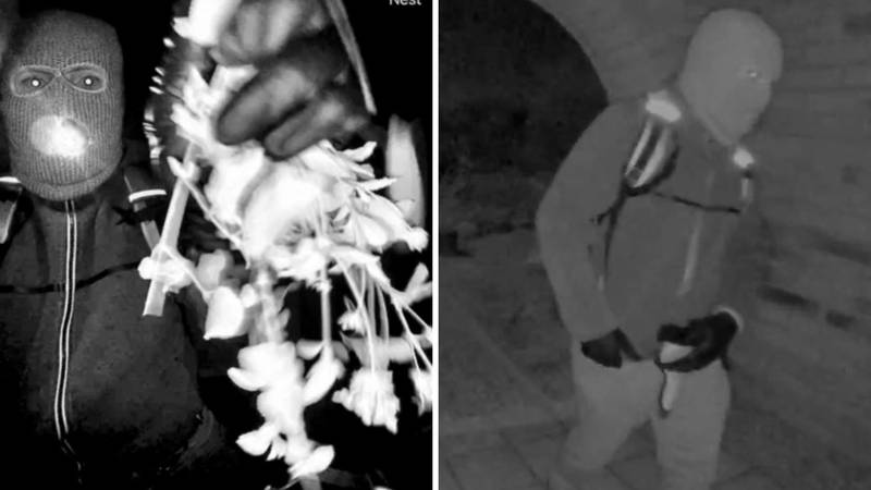 VIDEO Otmica Nancy Guthrie: Kamera je snimila maskirane napadače, FBI objavio snimke