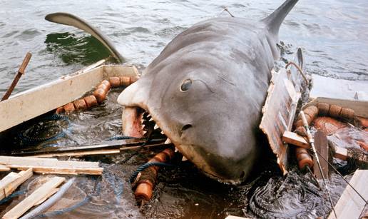 Ovo je Bruce, najstrašnije 'ralje' u povijesti: Zbog njega danas milijuni strepe od morskih pasa