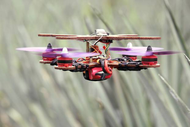 A drone flies at a pineapple plantation in Jenjarom