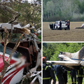 KOBNE NESRE&Cacute;E &Ccaron;etvero ljudi je 2009. poginulo u padu Cessne, kod Karlovca pao poljski avion