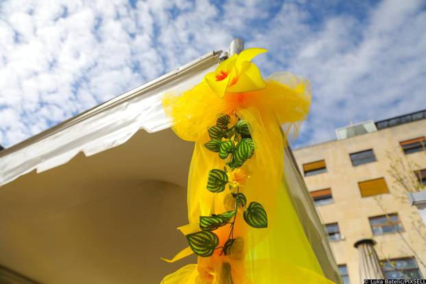 Zagreb: Obilježen Međunarodni dan narcisa