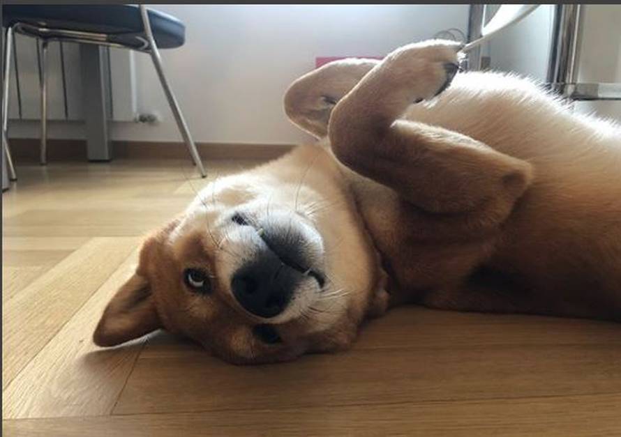 Franka: 'Danas je mom čovjeku roćkas, Veki volimo te punooo'