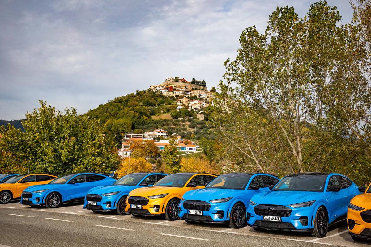 U EU do 2030. više od 60 milijuna električnih automobila