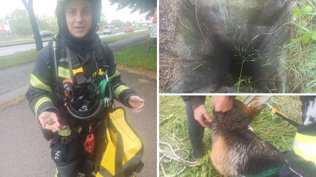 Pas upao u 10 metara dubok šaht, izvukli su ga vatrogasci