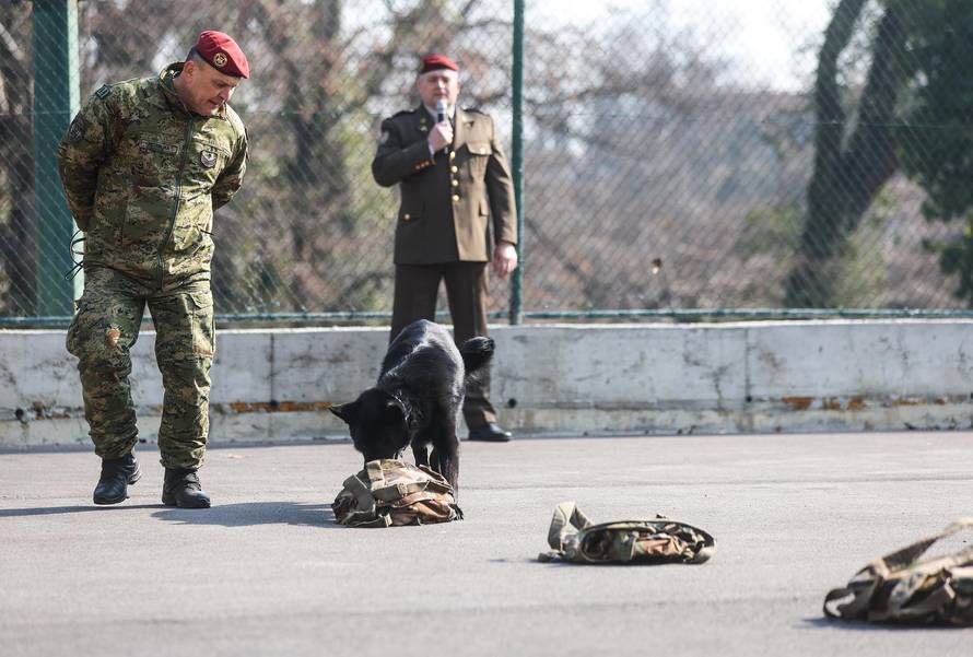 Zagreb: Dan otvorenih vrata Počasno - zaštitne bojne 