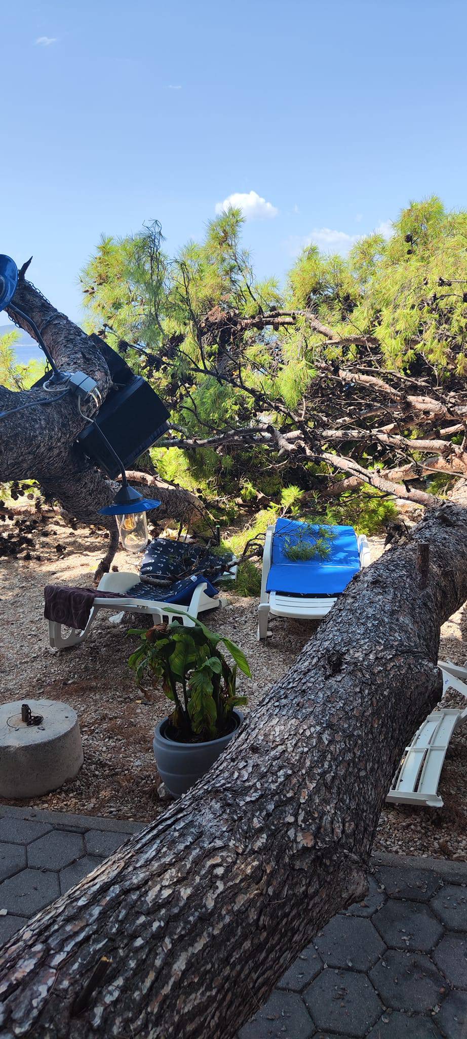 Drama u Baškoj Vodi: Na plažu palo stablo, četvero ozlijeđenih