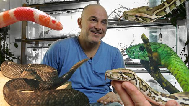 Neven živi sa 150 zmija: 'Ugrizle su me i otrovnice, a ugrizi zmija neotrovnica uopće me ne bole'
