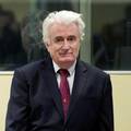 Karadžić se žalio na presudu: 'Uspjeh te žalbe nije siguran'