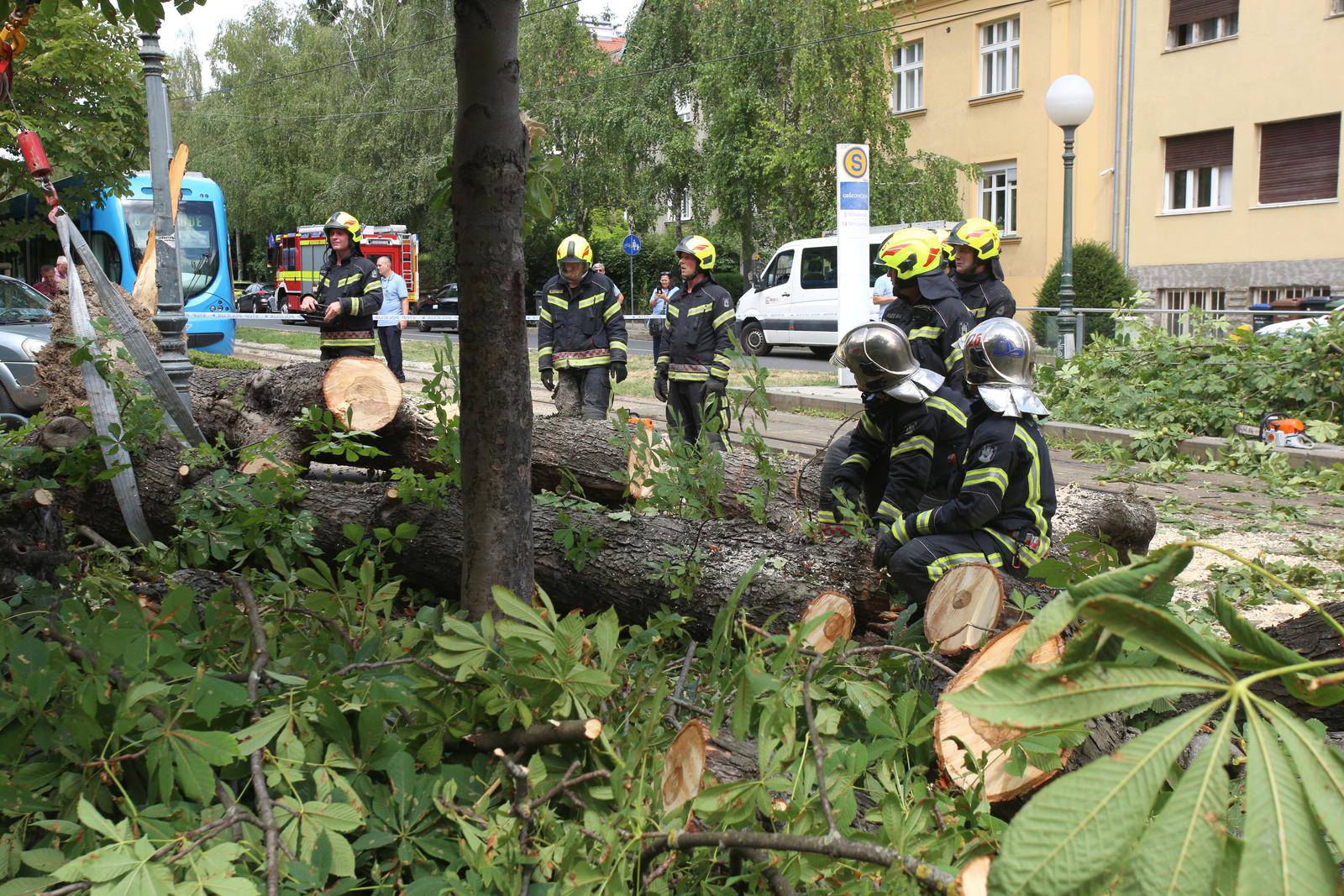 U centru Zagreba palo stablo