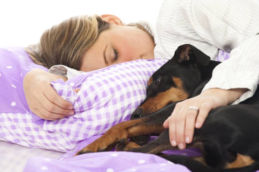 Psi uživaju u društvu svojih ljudi: Evo koliko dugo ljubimac može biti sam kod kuće