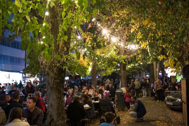 Održana 21. Bučijada i Sajam bučina ulja u Ivanić-Gradu